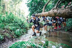 BIB: 
                            <button type="button" onclick="openModal(25475824)" class="btn btn-primary btn-sm float-right btn-popup" data-toggle="modal" data-target=".modal-high-quality">
                        <i class="fas fa-shopping-cart"></i> Add to Cart
                    </button>
                                            <button type="button" onclick="isThisMe(25475824, true)" class="btn btn-success btn-sm float-right btn-popup btn-isme hidden" data-toggle="tooltip" data-placement="bottom" title="นี่คือรูปของคุณใช่ไหม คลิกที่นี่เพื่อเอาเข้าอัลบั้ม">
                        <i class="fas fa-plus"></i> Add to album
                    </button>
                    <button type="button" onclick="isThisMe(25475824, false)" class="btn btn-warning btn-sm float-right btn-popup btn-isnotme hidden">
                        <i class="fas fa-ban"></i> Remove from album
                    </button>